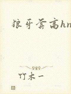 狼牙套高hnp