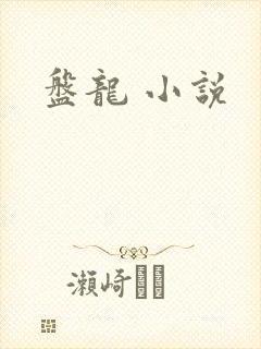 盘龙 小说
