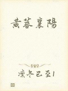 黄蓉襄阳封面