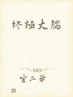 终极大脑封面