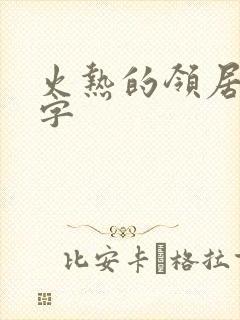 火热的领居中文字