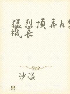 猛烈顶弄h禁欲机长