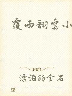 覆雨翻云小说