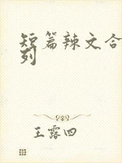 短篇辣文合集系列封面