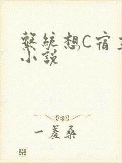 系统想C宿主的小说