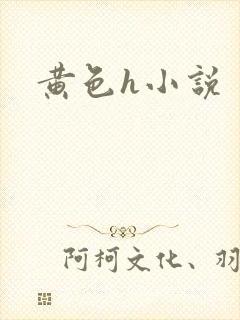 黄色h小说封面