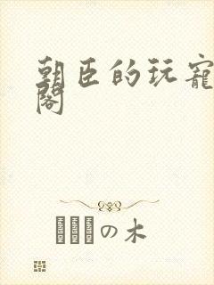 朝臣的玩宠笔趣阁