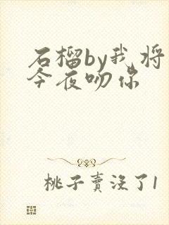 石榴by我将在今夜吻你封面