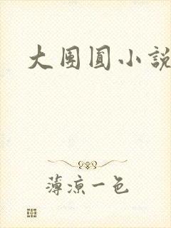 大团圆小说