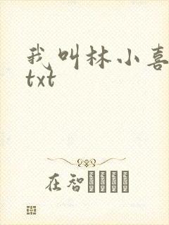 我叫林小喜小说txt
