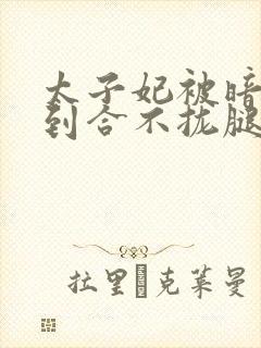 太子妃被暗卫C到合不拢腿