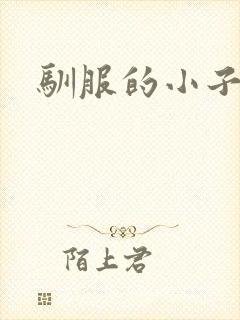 驯服的小子4封面