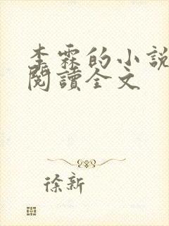 李霖的小说免费阅读全文封面