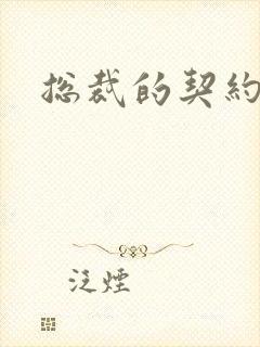 总裁的契约妻封面
