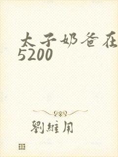 太子奶爸在花都5200