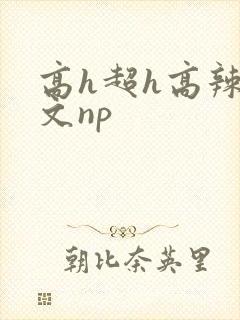 高h超h高辣h文np封面