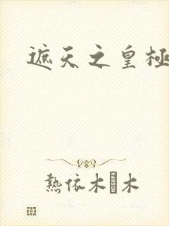 遮天之皇极帝道