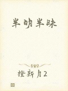 半明半昧