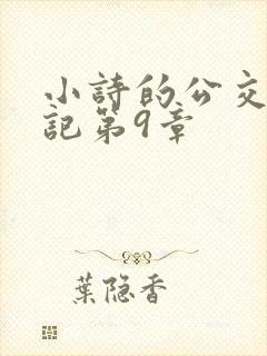 小诗的公交车日记第9章封面