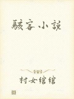 骇客小说