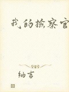 我的检察官先生封面
