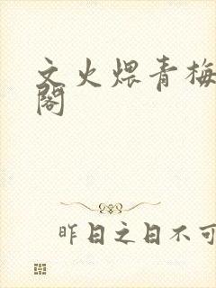 文火煨青梅笔趣阁