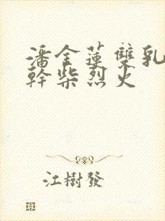 潘金莲双乳晃动干柴烈火封面