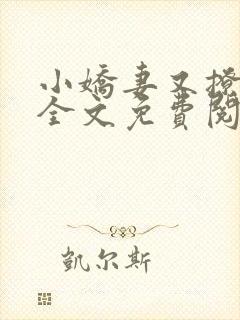 小娇妻又撩又甜全文免费阅读封面