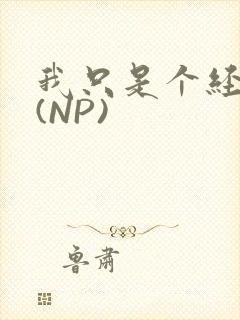 我只是个经纪人(NP)