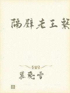 隔壁老王系统