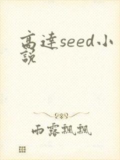 高达seed小说封面