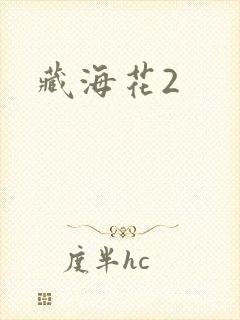 藏海花2