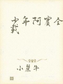 少年阿宾全集下载