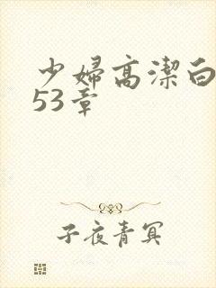 少妇高洁白义第53章封面