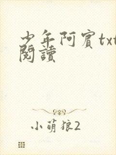 少年阿宾txt阅读