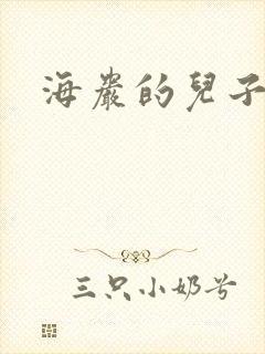 海岩的儿子