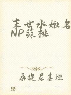 末世水嫩名器HNP苏桃