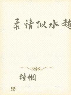 柔情似水赵雅儿