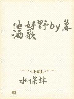 他好野by暮色酒歌