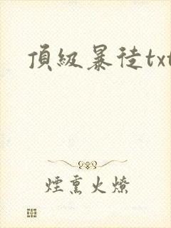 顶级暴徒txt封面