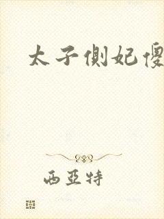 太子侧妃傻乎乎封面
