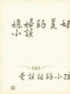 媳妇的美好时代小说封面