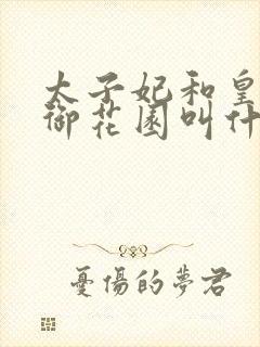 太子妃和皇帝在御花园叫什么小说