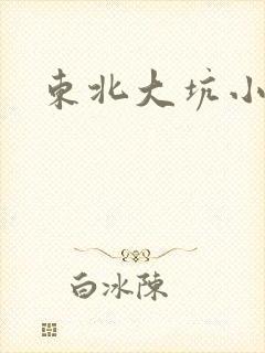 东北大坑小说