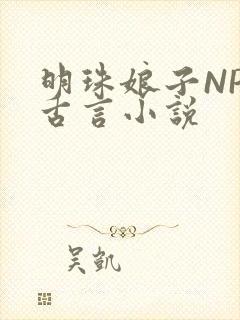 明珠娘子NPC古言小说