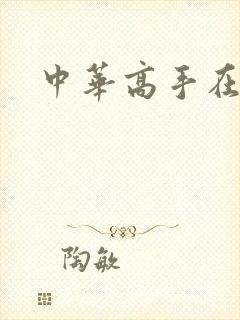 中华高手在异世封面