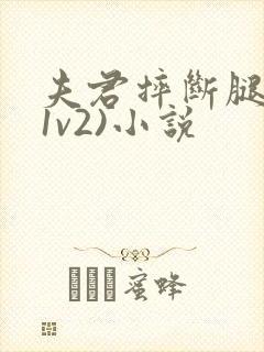 夫君摔断腿后(1v2)小说