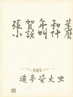张贺年和叶繁姿小说叫什么名字封面