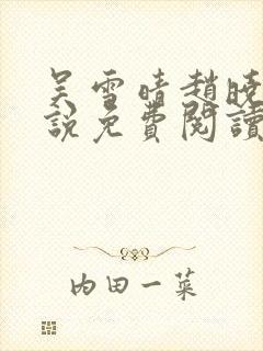 吴雪晴赵晓东小说免费阅读封面