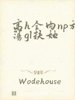 高h全肉np放荡gl扶她